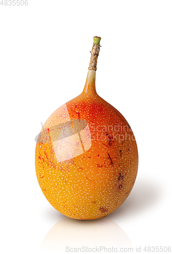 Image of Whole tamarillo vertically isolated on a white