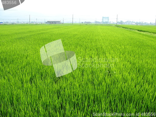 Image of Rural Japan