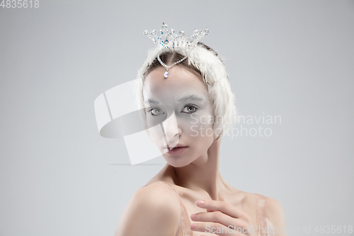 Image of Close up of young graceful ballerina on white studio background