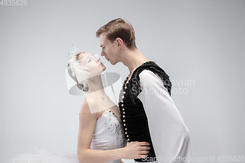Image of Young graceful couple of ballet dancers on white studio background