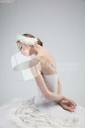 Image of Close up of young graceful ballerina on white studio background