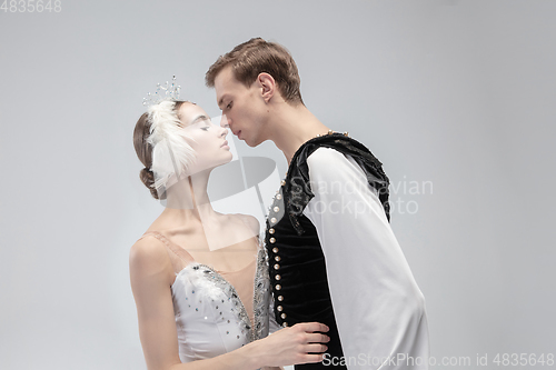 Image of Young graceful couple of ballet dancers on white studio background