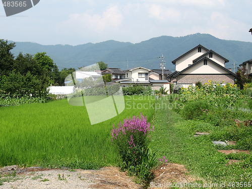 Image of Japanese Countryside