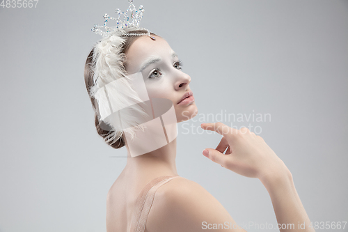 Image of Close up of young graceful ballerina on white studio background