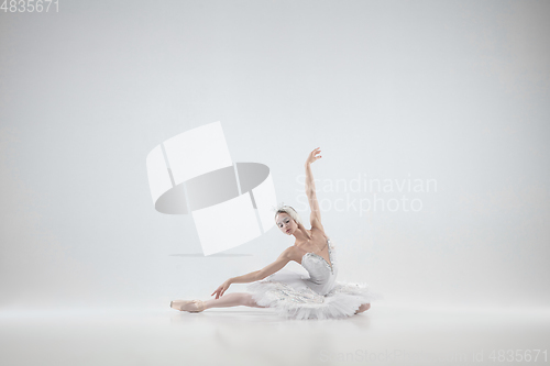 Image of Young graceful ballerina on white studio background