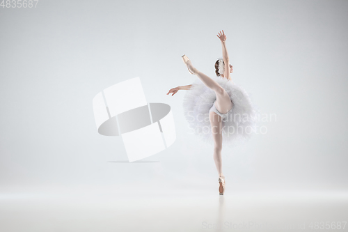 Image of Young graceful ballerina on white studio background