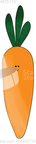 Image of Fresh carrot vector or color illustration