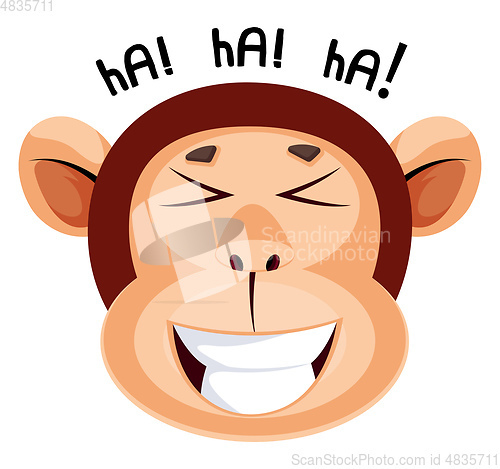 Image of Monkey is laughing, illustration, vector on white background.