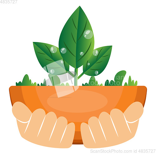 Image of Illustration of hands holding plants illustration vector on whit