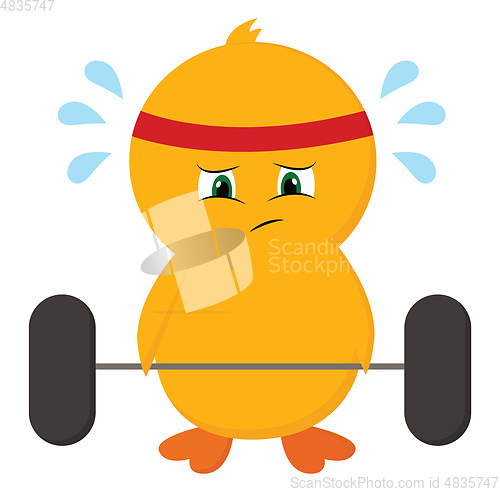 Image of Cute-little yellow chick is lifting dumbbells at the gym vector 