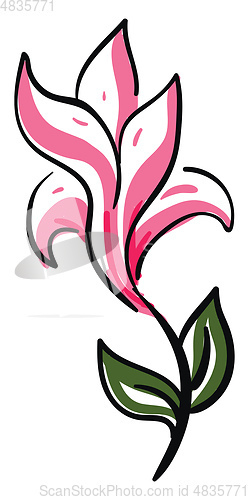 Image of sketch of pink flower vector or color illustration