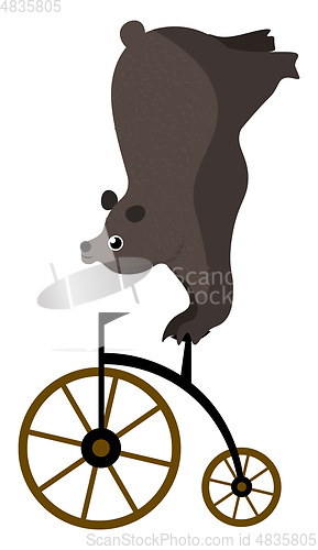 Image of Clipart of circus bear on a bike vector or color illustration