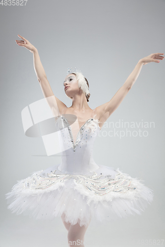 Image of Close up of young graceful ballerina on white studio background