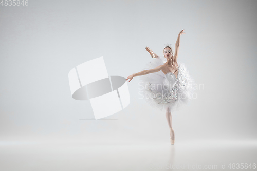 Image of Young graceful ballerina on white studio background