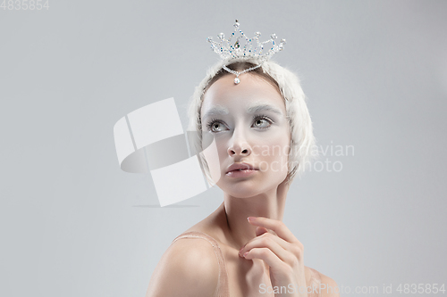 Image of Close up of young graceful ballerina on white studio background