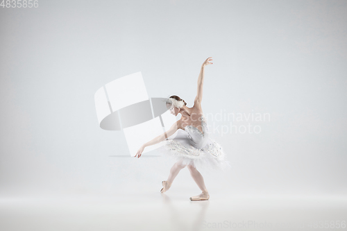 Image of Young graceful ballerina on white studio background