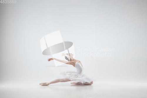 Image of Young graceful ballerina on white studio background