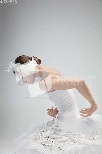 Image of Close up of young graceful ballerina on white studio background