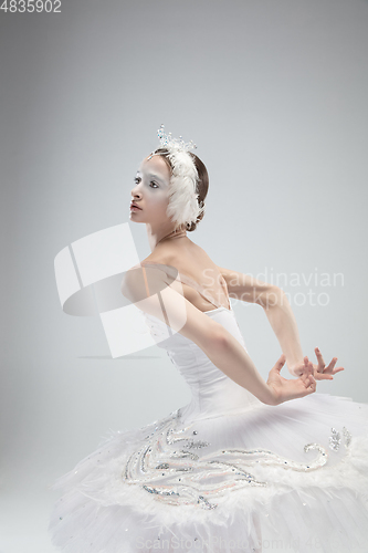 Image of Close up of young graceful ballerina on white studio background