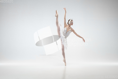 Image of Young graceful ballerina on white studio background