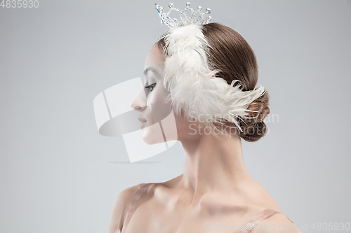 Image of Close up of young graceful ballerina on white studio background