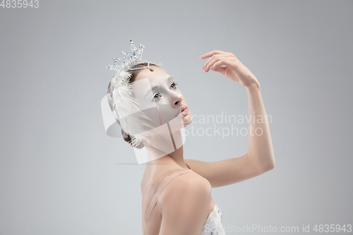 Image of Close up of young graceful ballerina on white studio background