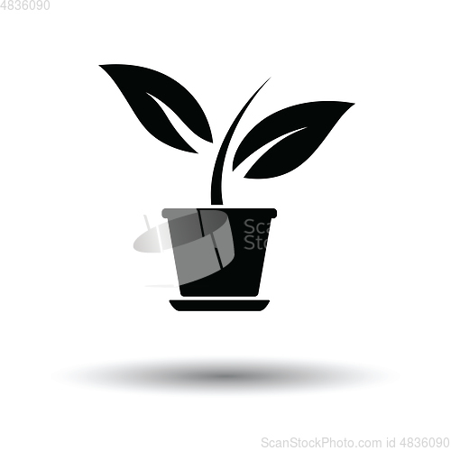 Image of Plant in flower pot icon