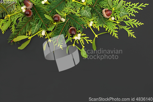 Image of Natural Winter Solstice Greenery Background