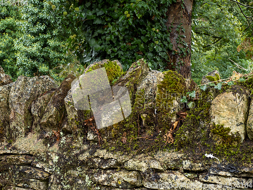 Image of Cotswold Stone Wall