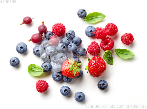 Image of composition of fresh berries and green leaves