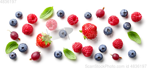 Image of composition of fresh berries and green leaves