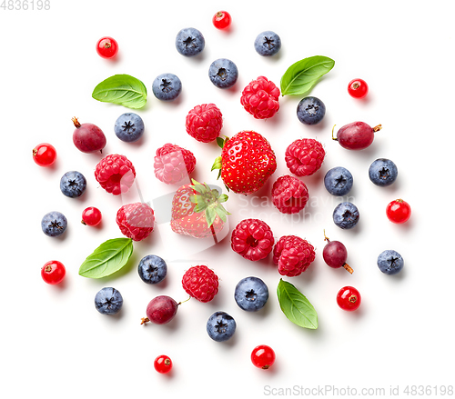 Image of composition of fresh berries and green leaves