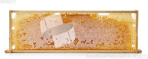 Image of honey combs in wooden frame