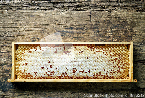 Image of wooden frame of honey combs