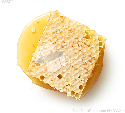 Image of piece of fresh honey combs