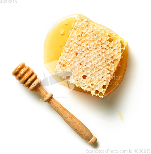 Image of piece of honey combs