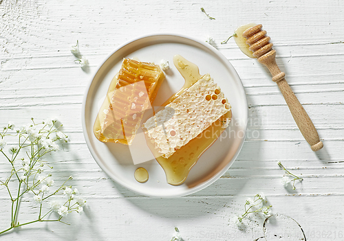 Image of plate of fresh honey combs