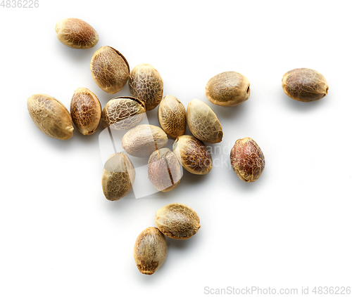Image of hemp seeds macro