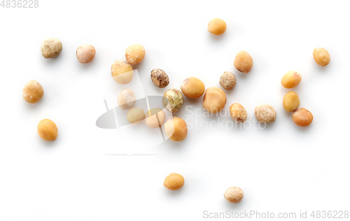 Image of mustard seeds macro