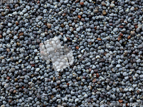 Image of poppy seeds background