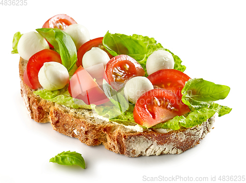 Image of slice of bread with tomato and mozzarella