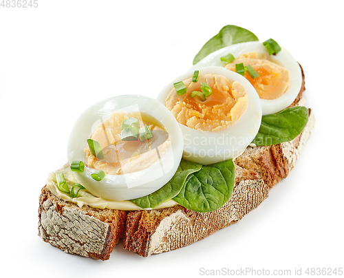 Image of breakfast sandwich with boiled egg