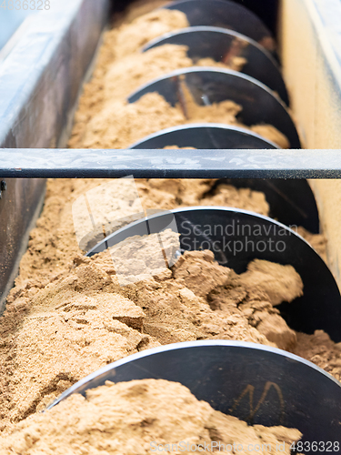 Image of Chicken meal in screw conveyor