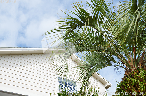 Image of Residential building and palm tree at the backyard