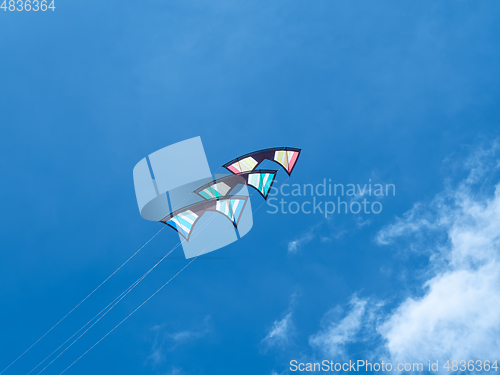 Image of Three quad line stunt kites