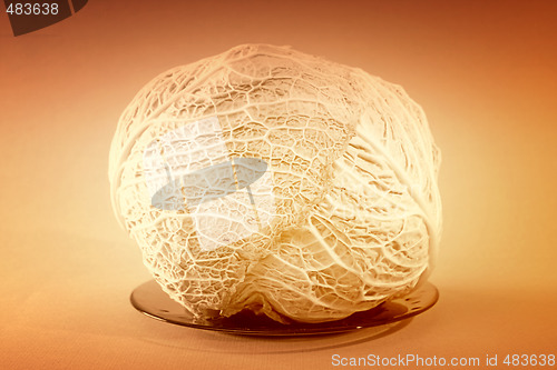 Image of Green cabbage vegetable