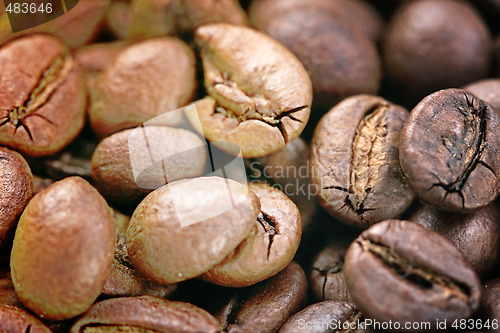 Image of Coffee beans