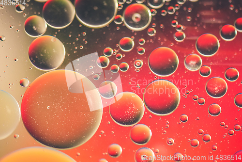 Image of Red abstract background picture made with oil, water and soap