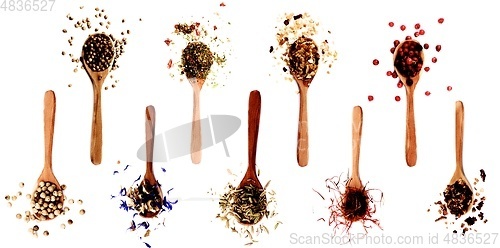 Image of Collection of Spices in Wooden Spoons