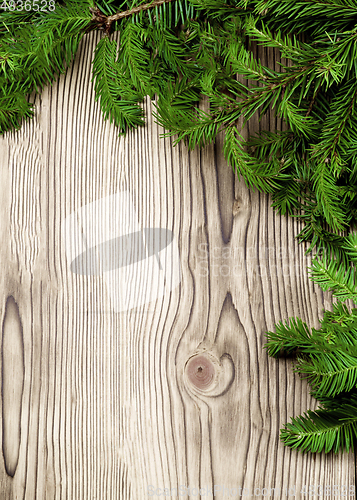 Image of Christmas Background with Spruce Branch